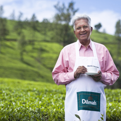 Dilmah Tea