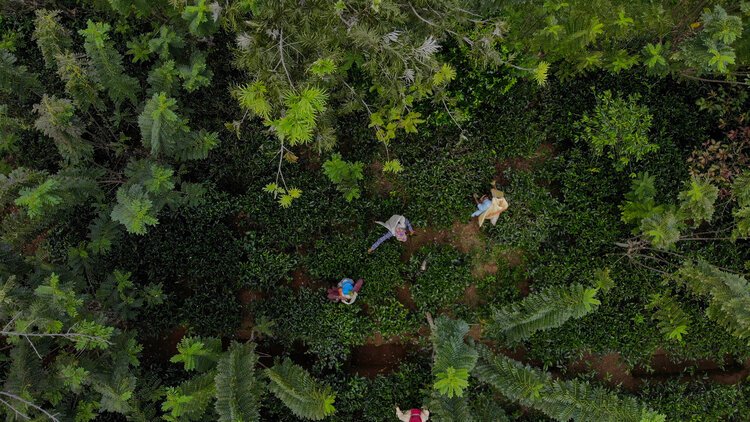 created by dji camera