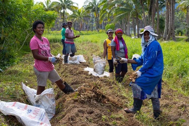 Ranadi_Organics_Farm_Photos_June_2021__17__copy