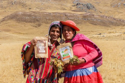 Maca+farmers+2