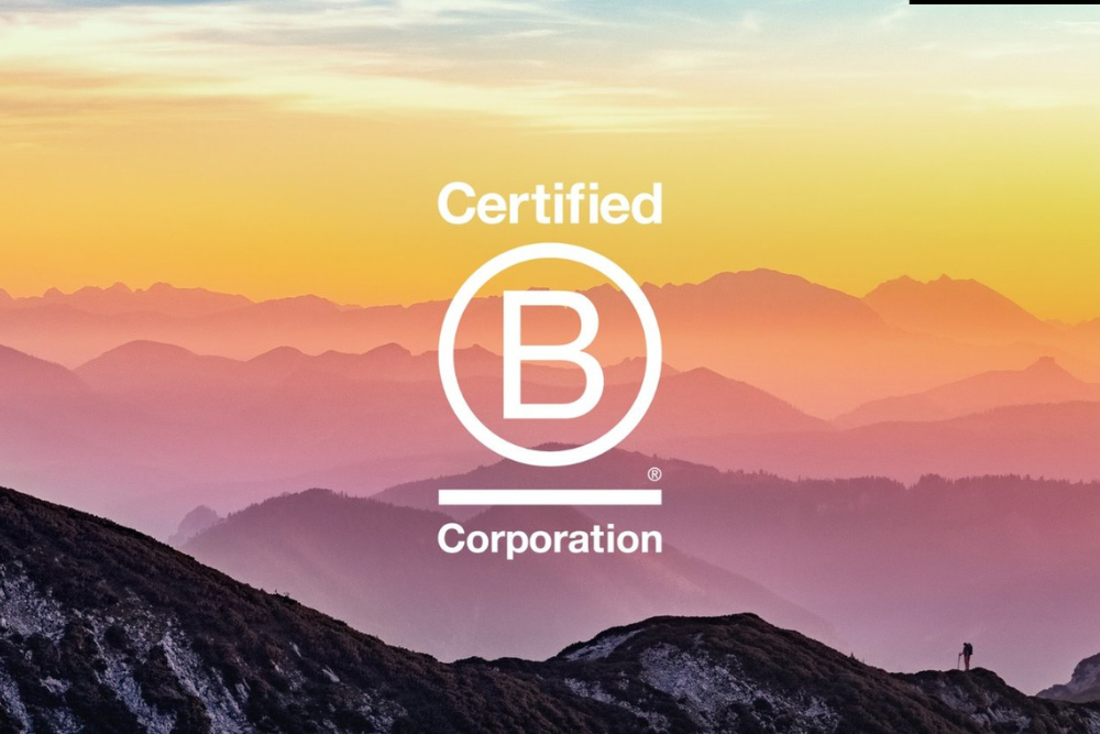 b+corp+logo